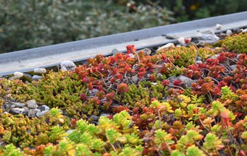the cost of Eynesbury green roof installation