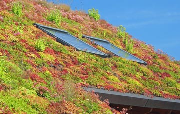 Eynesbury living roof systems
